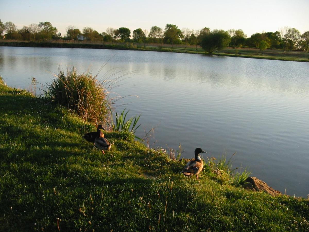 Camping Du Lac De Saujon Exterior photo